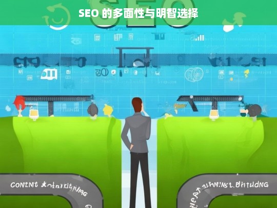 SEO 的多面性与明智选择，SEO 的多面性及明智选择探讨