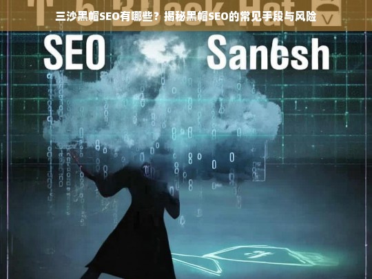 三沙黑帽SEO手段揭秘，常见操作与潜在风险解析