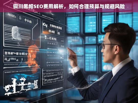 铜川黑帽SEO费用全解析，合理预算与风险规避指南