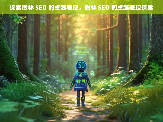 探索微林 SEO 的卓越表现，微林 SEO 的卓越表现探索