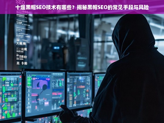 揭秘十堰黑帽SEO技术，常见手段与潜在风险