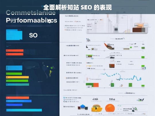 全面解析知站 SEO 的表现，知站 SEO 表现全面解析