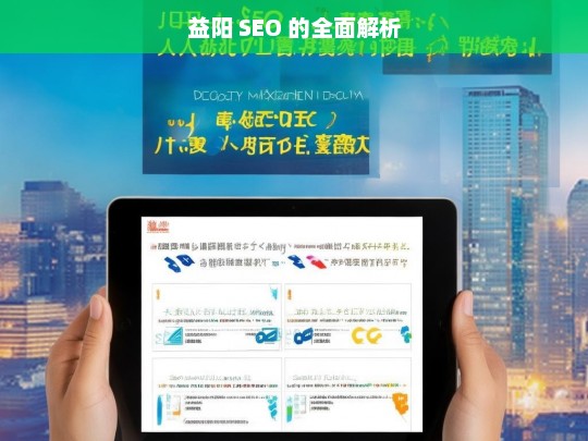 益阳 SEO 的全面解析，益阳 SEO 全面解析