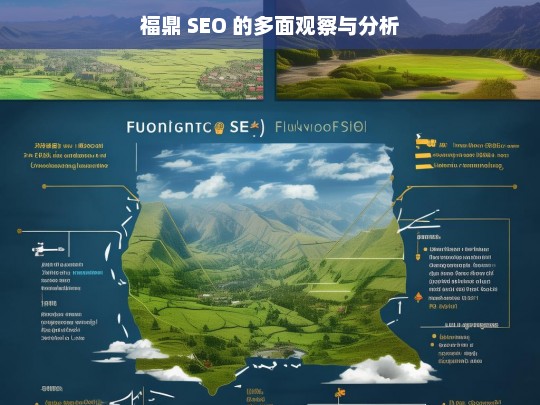 福鼎 SEO 的多面观察与分析，福鼎 SEO 的多面解析