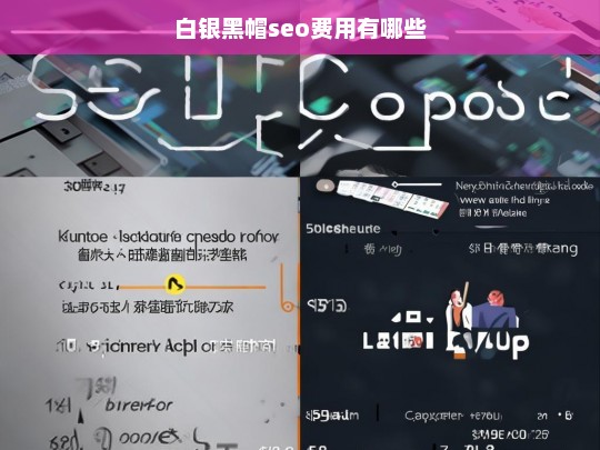 白银黑帽SEO服务的费用构成及影响因素