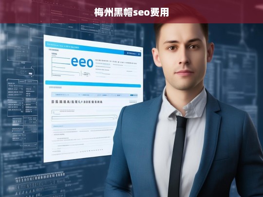 梅州黑帽SEO服务费用详解与市场分析