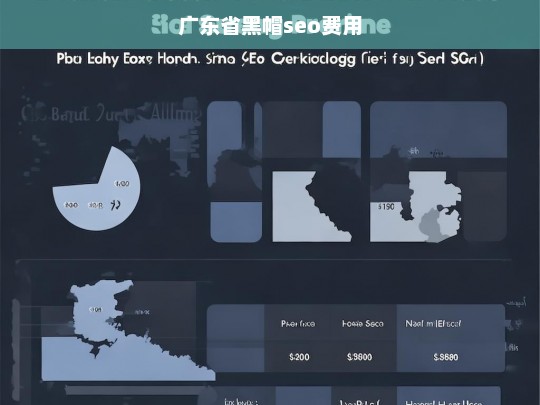 广东省黑帽SEO服务费用详解及市场行情分析