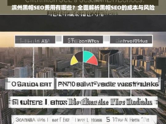 滨州黑帽SEO费用及风险全面解析，成本与后果深度剖析