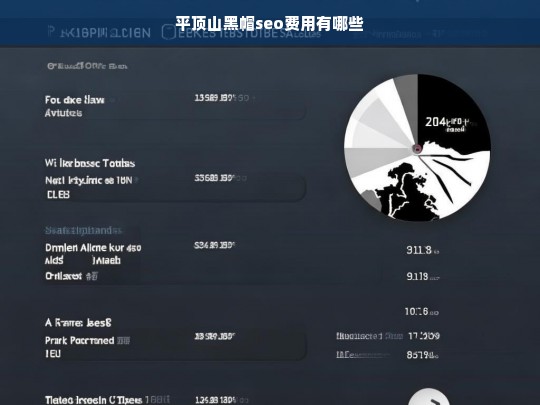 平顶山黑帽SEO费用详解及影响因素分析