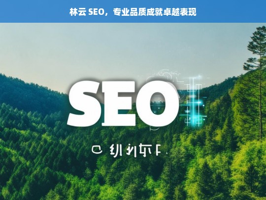 林云 SEO，专业品质成就卓越表现，林云 SEO，专业品质打造卓越表现