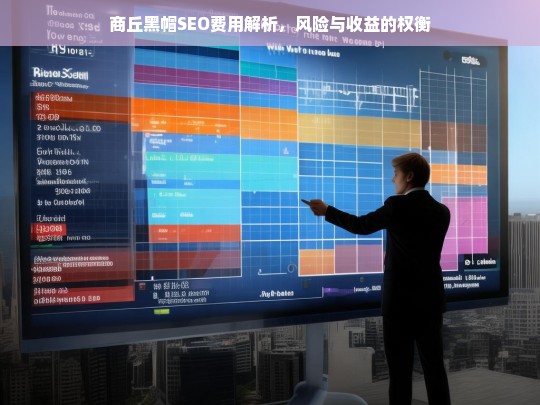 商丘黑帽SEO费用解析，风险与收益的权衡