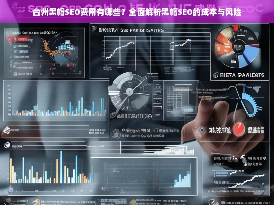 台州黑帽SEO费用及风险全面解析，成本与后果深度剖析
