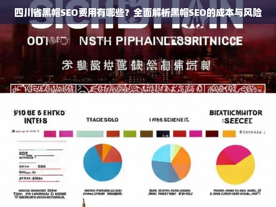 四川省黑帽SEO费用全解析，成本与风险深度剖析