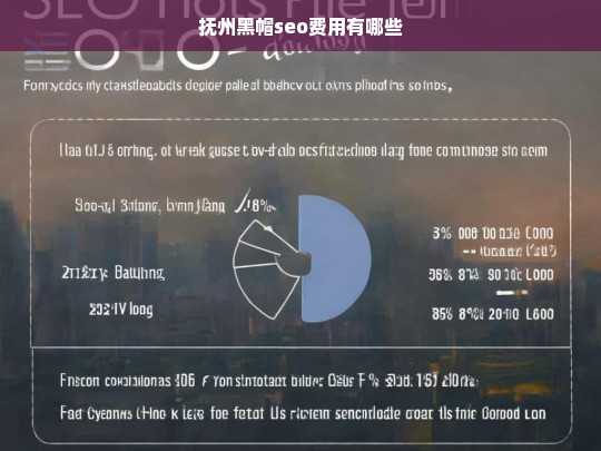 抚州黑帽SEO费用详解及影响因素分析