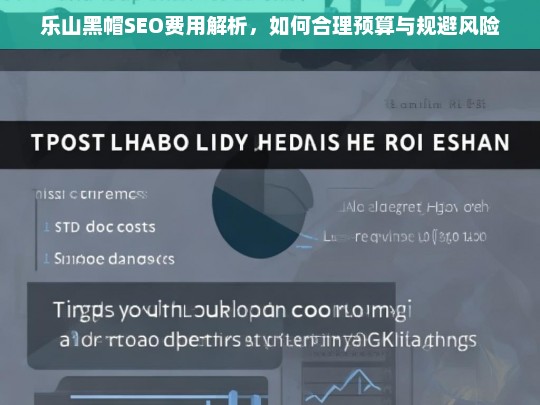 乐山黑帽SEO费用解析，合理预算与风险规避指南