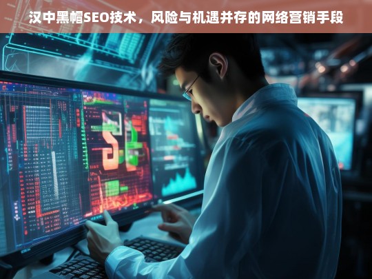 汉中黑帽SEO技术，网络营销中的风险与机遇