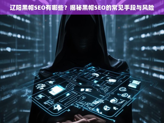 揭秘辽阳黑帽SEO的常见手段与潜在风险