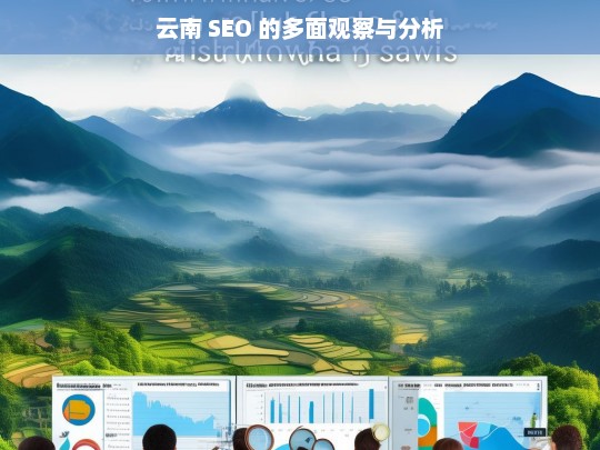 云南 SEO 的多面观察与分析，云南 SEO 之多面解析