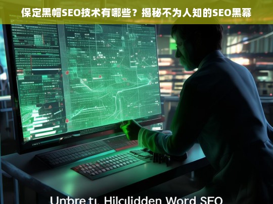 保定黑帽SEO技术揭秘，不为人知的SEO黑幕与风险