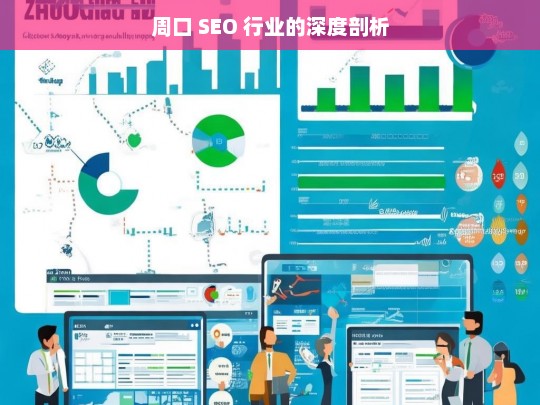 周口 SEO 行业的深度剖析，周口 SEO 行业剖析