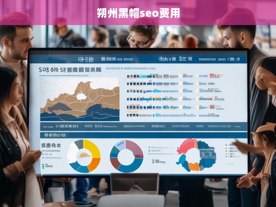 朔州黑帽SEO服务费用详解