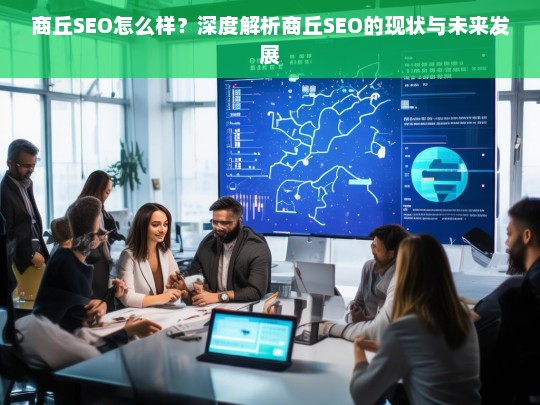 商丘SEO现状与未来发展趋势深度解析