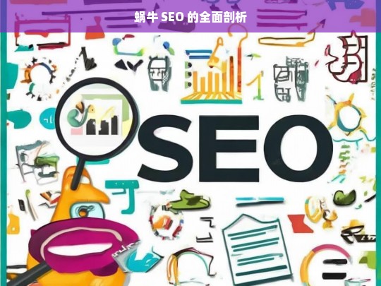 蜗牛 SEO 的全面剖析，蜗牛 SEO 全面剖析