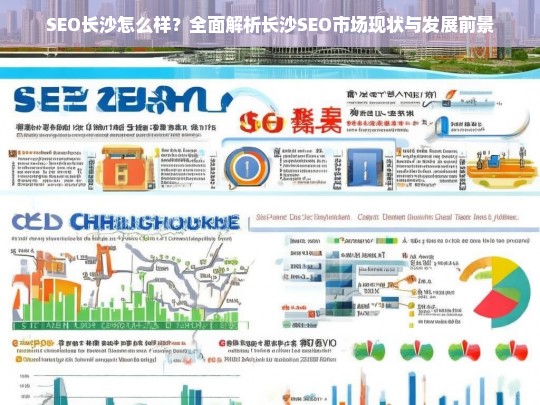 长沙SEO市场现状与发展前景全面解析