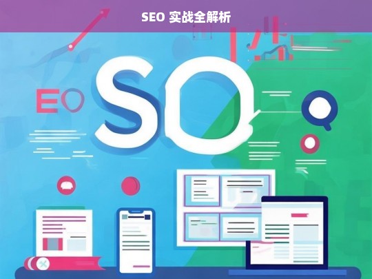 SEO 实战全解析，SEO 实战全解析，探秘优化之道