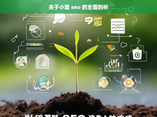 关于小苗 seo 的全面剖析，小苗 SEO 全面剖析