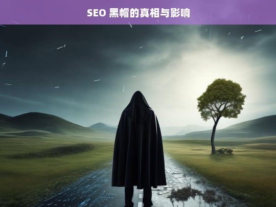 SEO 黑帽的真相与影响，SEO 黑帽，真相及其带来的影响