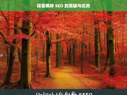 探索枫林 SEO 的奥秘与优势，枫林 SEO 的奥秘与优势探索