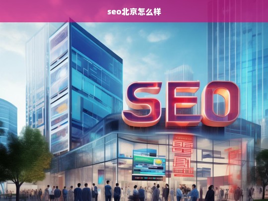 SEO北京服务效果如何？全面解析北京SEO优化现状与趋势