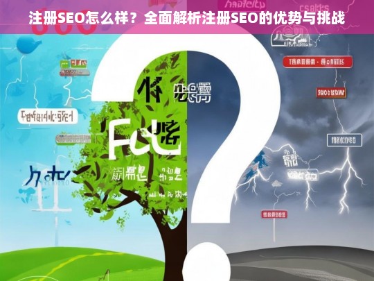 注册SEO的优势与挑战，全面解析注册SEO的利与弊