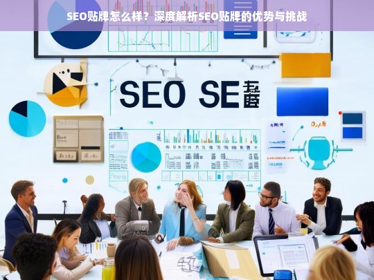 SEO贴牌的优势与挑战，全面解析SEO贴牌的市场前景与实施策略