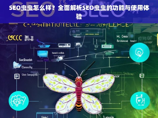 SEO虫虫全面评测，功能解析与使用体验深度剖析