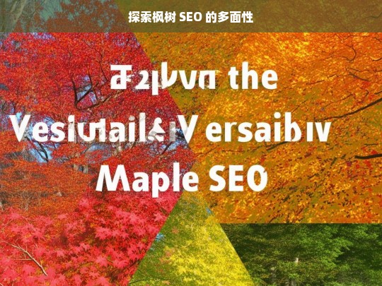 探索枫树 SEO 的多面性，探索枫树 SEO 的多面性