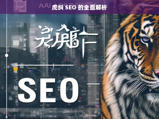 虎纠 SEO 的全面解析，虎纠 SEO 全面解析