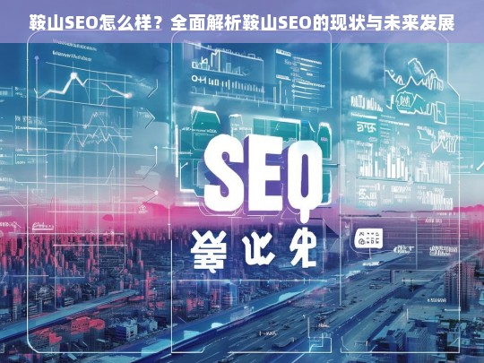 鞍山SEO现状与未来发展全面解析