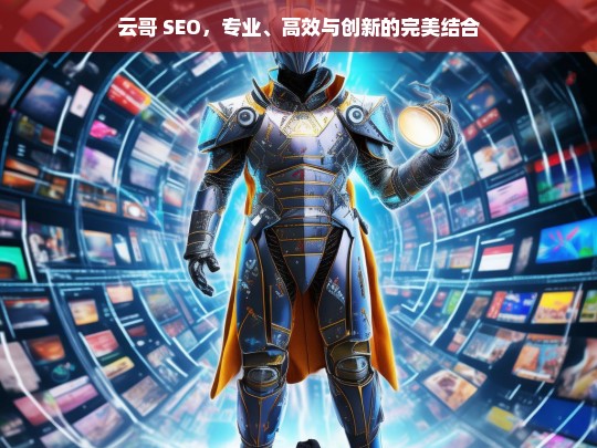 云哥 SEO，专业、高效与创新的完美结合，云哥 SEO，专业高效创新的完美体现