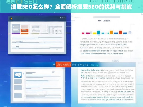 搜爱SEO全面解析，优势与挑战深度剖析