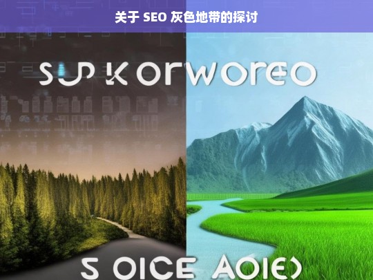 关于 SEO 灰色地带的探讨，SEO 灰色地带之探讨