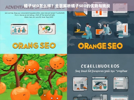 橘子SEO全面解析，优势与挑战深度剖析