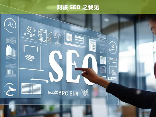 刘骏 SEO 之我见，刘骏谈 SEO 见解