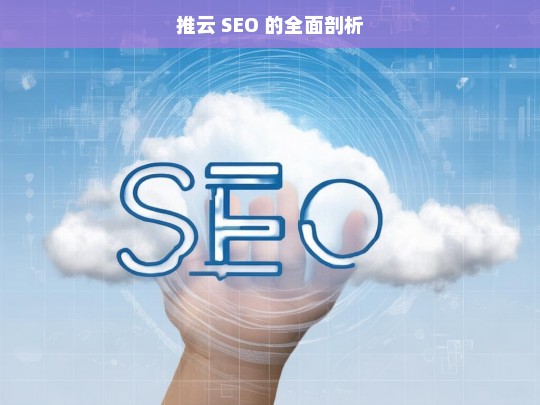 推云 SEO 的全面剖析，推云 SEO 全面剖析