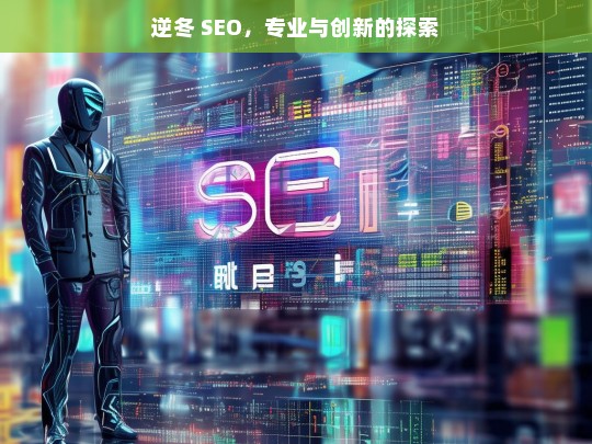 逆冬 SEO，专业与创新的探索，逆冬 SEO，专业创新探索之路