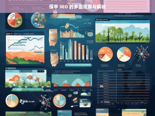 保亭 SEO 的多面观察与解析，保亭 SEO 多面解析