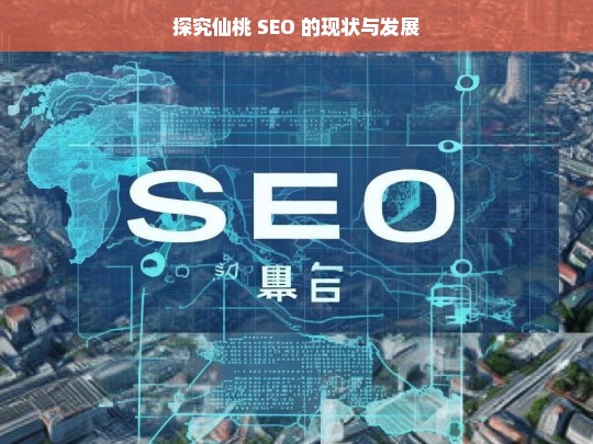 探究仙桃 SEO 的现状与发展，仙桃 SEO 现状与发展探究