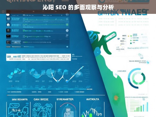 沁阳 SEO 的多面观察与分析，沁阳 SEO 的多面剖析