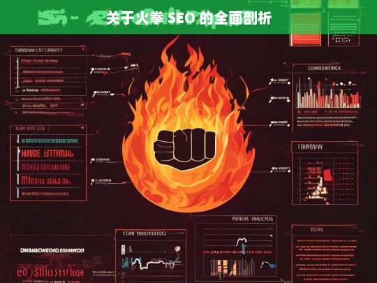 关于火拳 SEO 的全面剖析，火拳 SEO 全面剖析